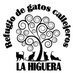 Refugio La Higuera (@refulahiguera) Twitter profile photo