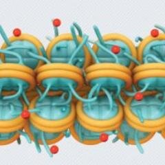 Epigenetica's profile picture. Feed de noticias relevantes en el campo de la Epigenética (ES/CAT/EN). By @DrRaulDM