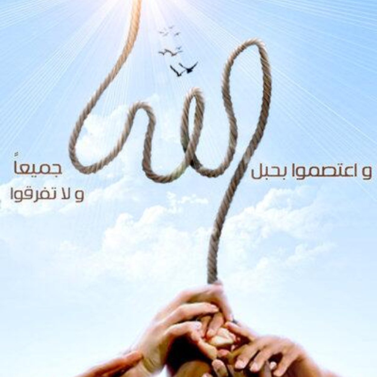 AbusaudF Profile Picture