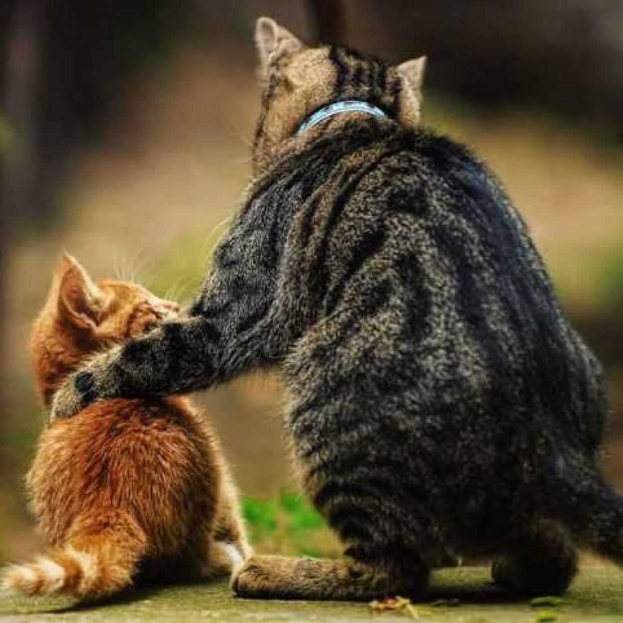 wisdom4kiddom's profile picture. 