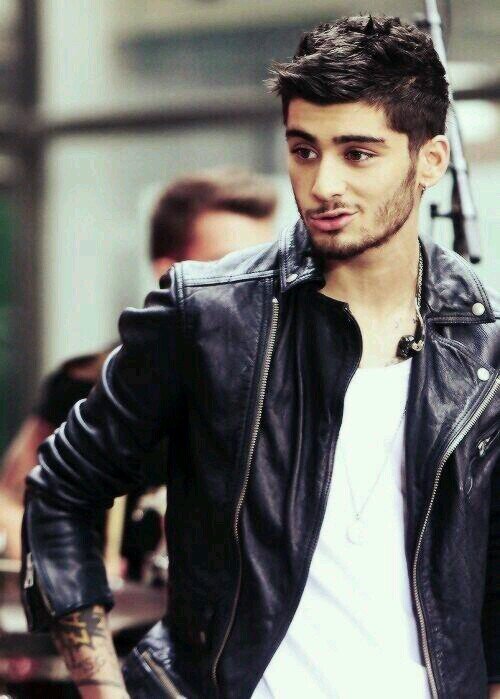 Zayn Malik  single  bisex (ma più gay lol)