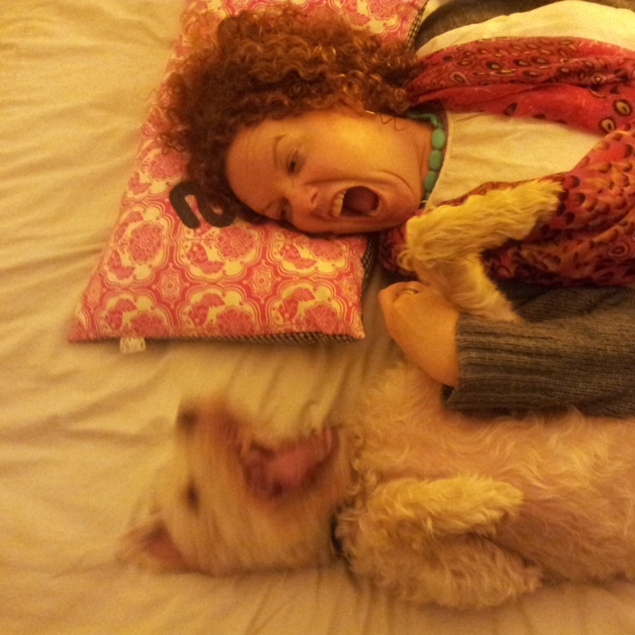 BradleysPerson's profile picture. 