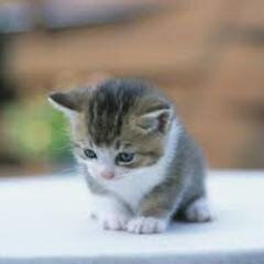 HACKERS 55553535246880909908o8;/..g.,,c,jajaa53
MZKNMAJKxnsabbnzbv nvzcnb nsa657474646377383374
