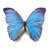 NETSQI's profile image
