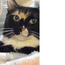 Chandra Kirk - @elinaDeegan133 - Twitter