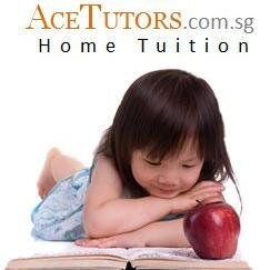 Ace Tutors, S'pore's professional home tuition service trusted by many. We provide tutors for your home tuition, small group tuition, and tuition centres.
