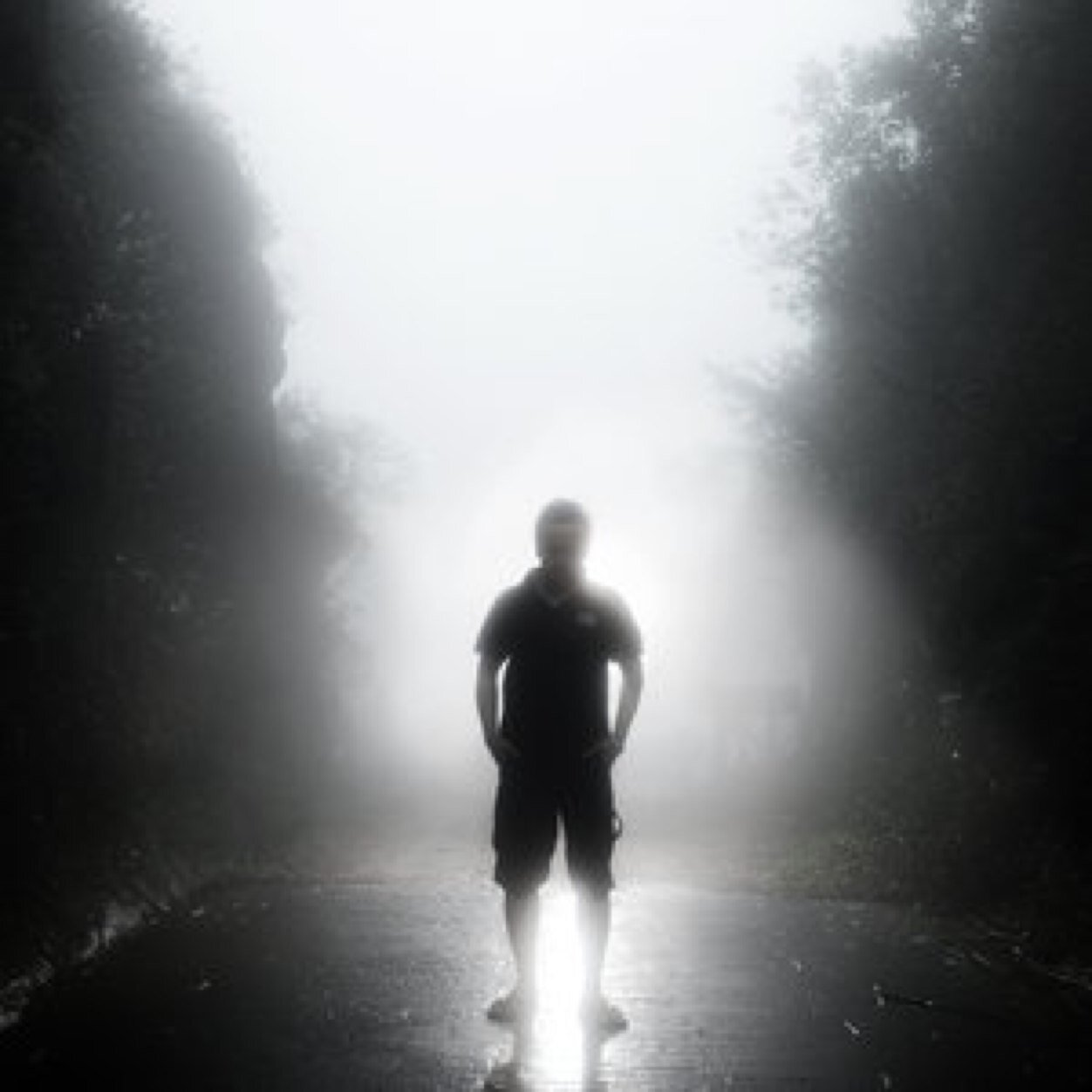 kimoposan_kimo's profile picture. 