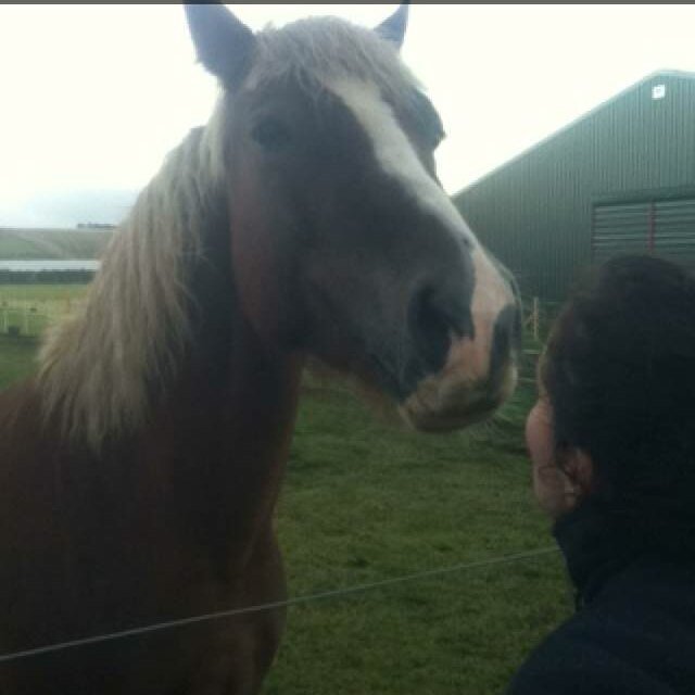 a canter is a cure for every evil.