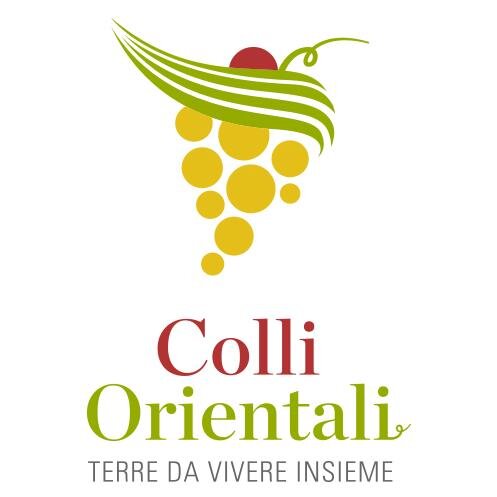 Gruppo Viticultori Colli Orientali del Friuli_un progetto per lo sviluppo di un territorio #villanachinicabassi #colliorientali #saporedeicolli