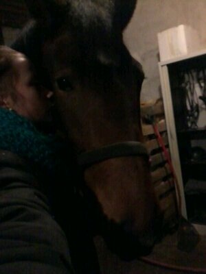 13 jaar • marianum lichtenvoorde • 2havo • proud of my horses♡