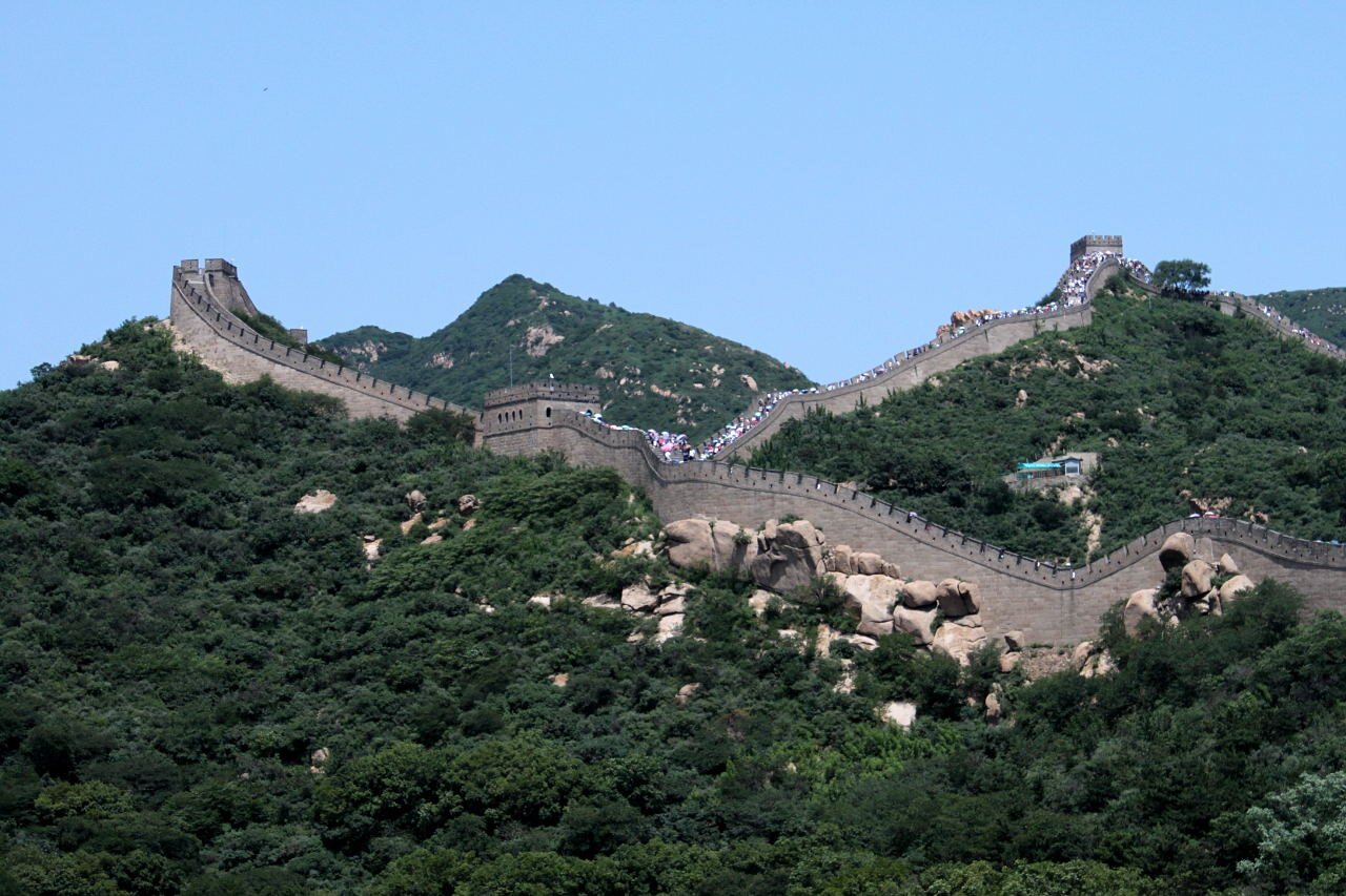 sontmsdsta9's profile picture. 