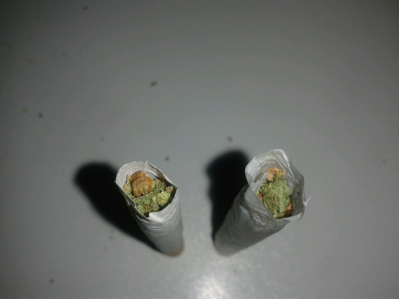 De porro en porro, Viva la Weed!
Enamorados de la Marihuana!
Weed Weed Weed Weed..