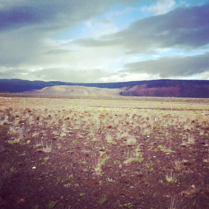 volpakiotta's profile picture. 