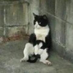 TakeMasa130R's profile picture. 音屋でベース弾き・小さなイタリア車を愛する