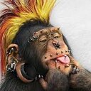 Alberto Mario Aubin - @Alberto_Aubin - Twitter