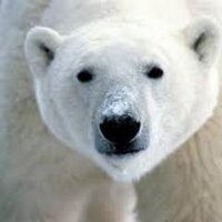 Bjørn Christian (@bcskje) 's Twitter Profile