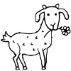 mon_pashmina's profile picture. 