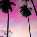 alejandra angel - @alejaangel - Twitter