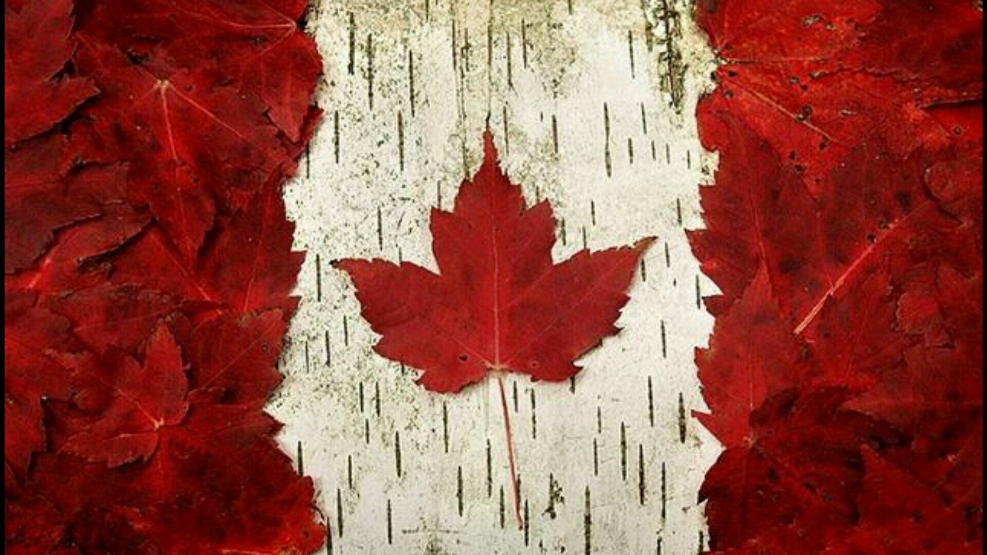 RexRhubarb's profile picture. 