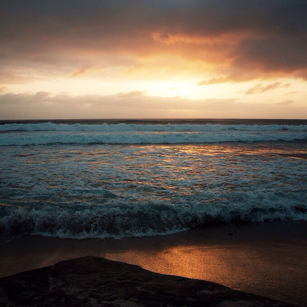 exposvree's profile picture. 