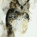 April Mack  - @aprilmackstone - Twitter