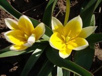 okasht's profile picture. 