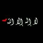 سبحان الله وبحمده .. سبحان الله العظيم ..