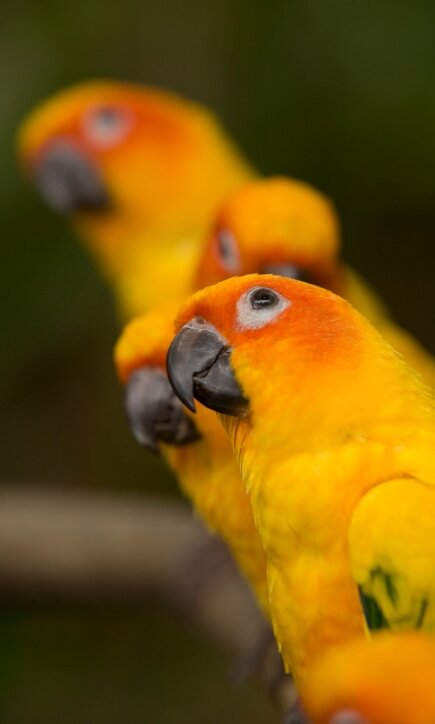 gdiybksvtkvk's profile picture. 