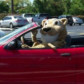 SIUE Parking Services, Southern Illinois University Edwardsville