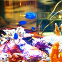 Corina Moore - @moore_corina - Twitter