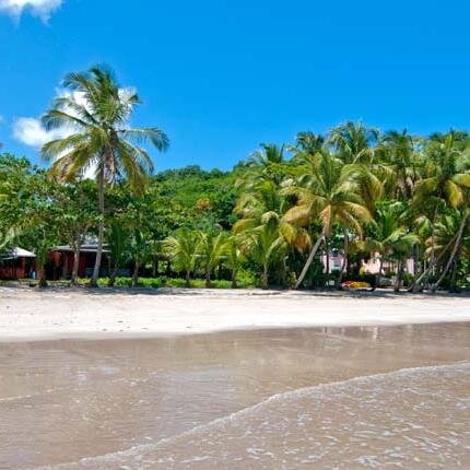 A small, intimate and sustainable boutique hotel, restaurant and beach bar situated on the beautiful and secluded shores of St. David's, Grenada, Caribbean.