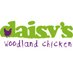 Daisy's Chicken (@woodlandchicken) Twitter profile photo