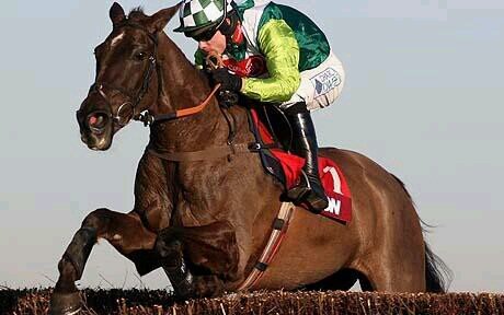 The Peoples Tipster, Realistic Stakes For Resonable Returns