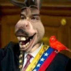 twitter dedicado derrocar a este puto gobierno
