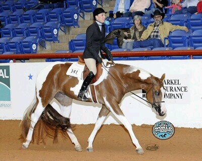 The Beyonce of the equestrian word. A big HUS horse is my Jay-z.