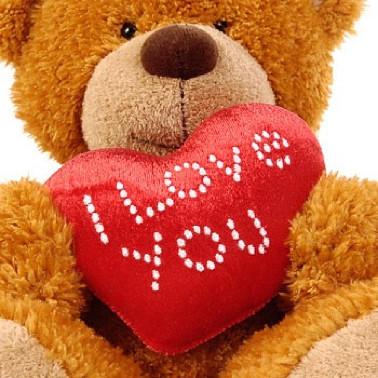 Have a crush on campus? Or just want to know who does? Let us know http://t.co/u8OLGg1ESP