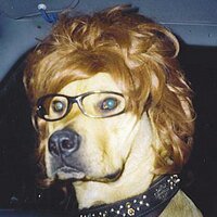 Arik (@arikw) 's Twitter Profile Photo