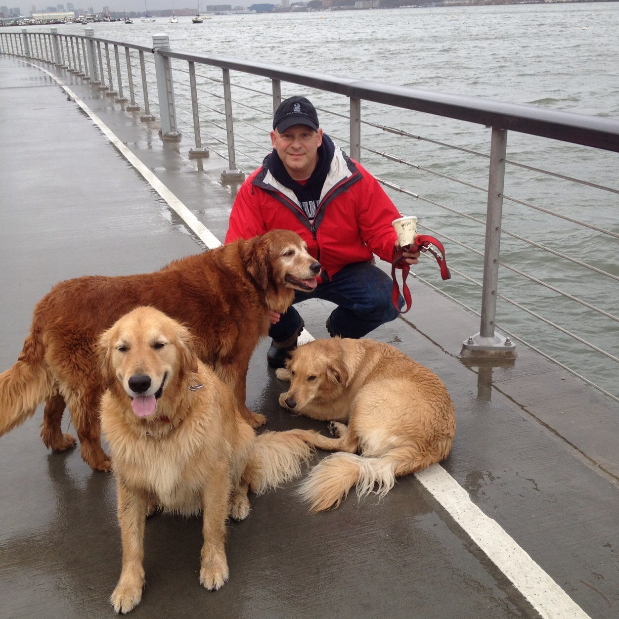 robcardguy's profile picture. 