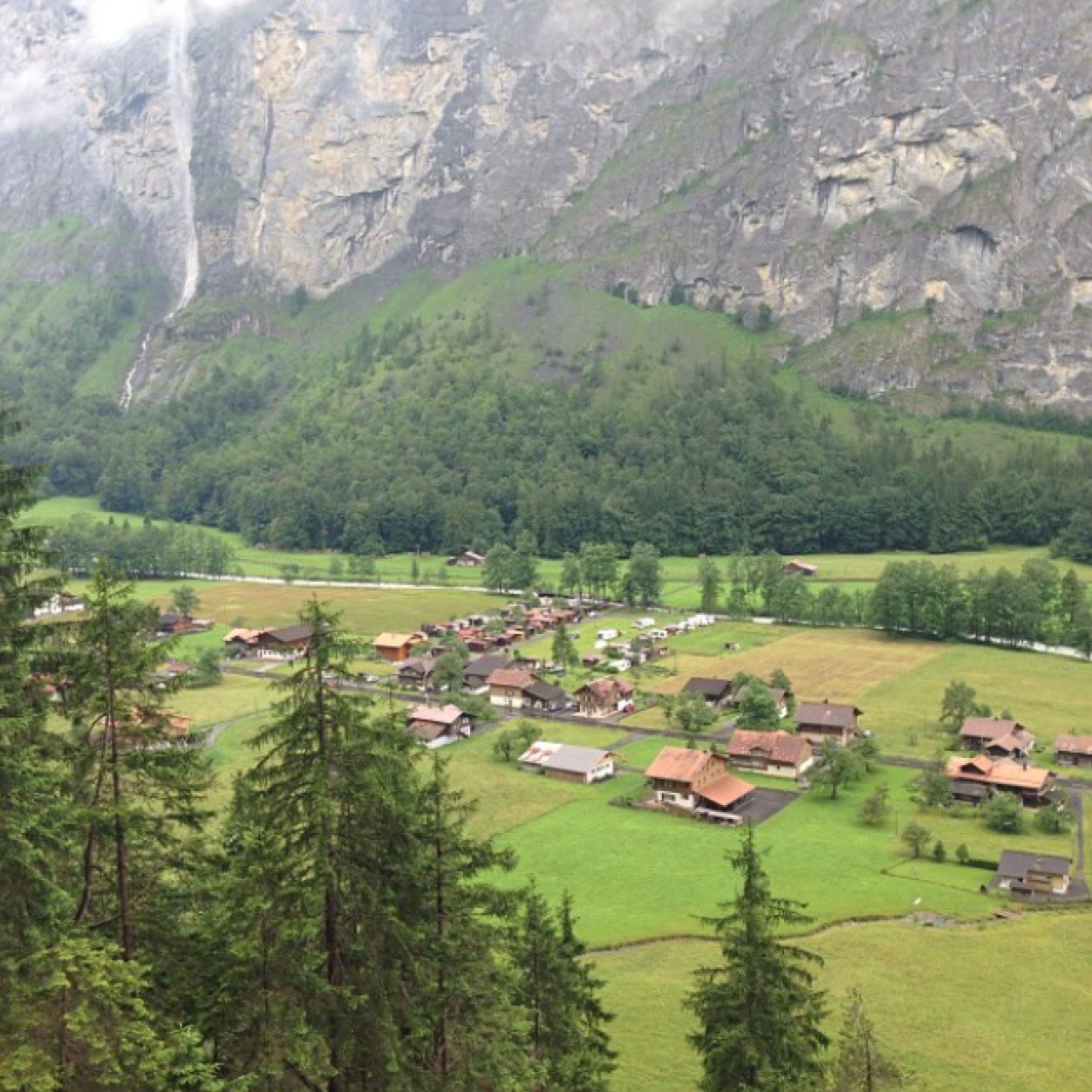 nawaf_amerr's profile picture. 