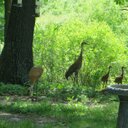 Sharon Browder - @gascrn - Twitter