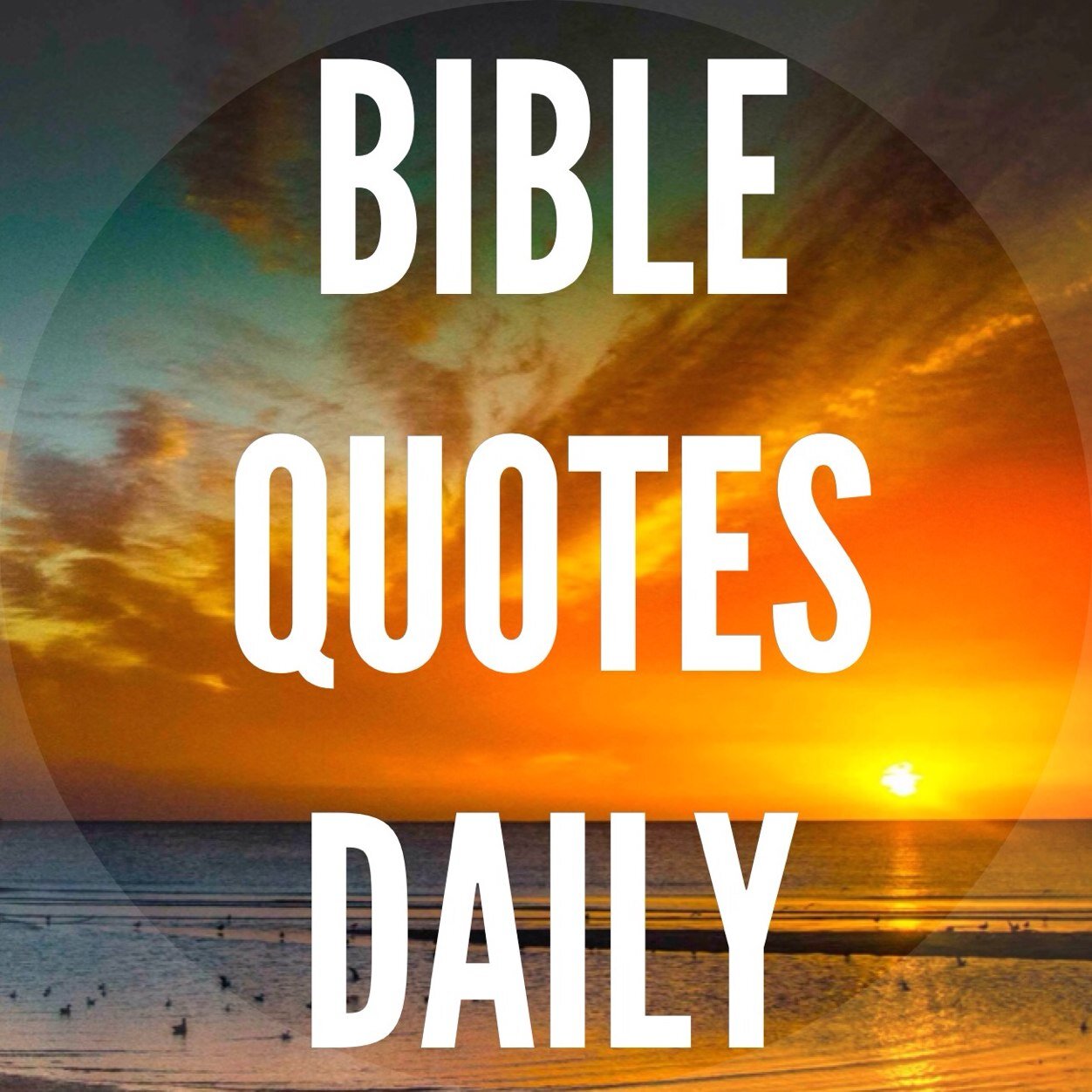 BQDaily's profile picture. 