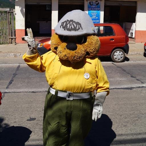 prev_incendvii's profile picture. Guardián del bosque....