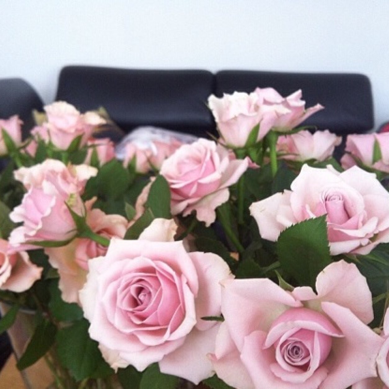 ohmychristel's profile picture. 