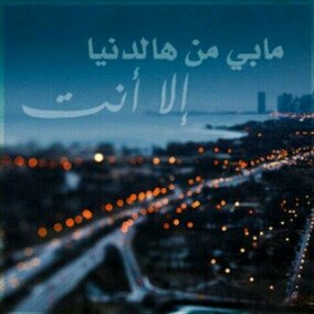 shoolsaed's profile picture. 