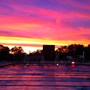 Betsy Harrison - @Goldfinch6038 - Twitter