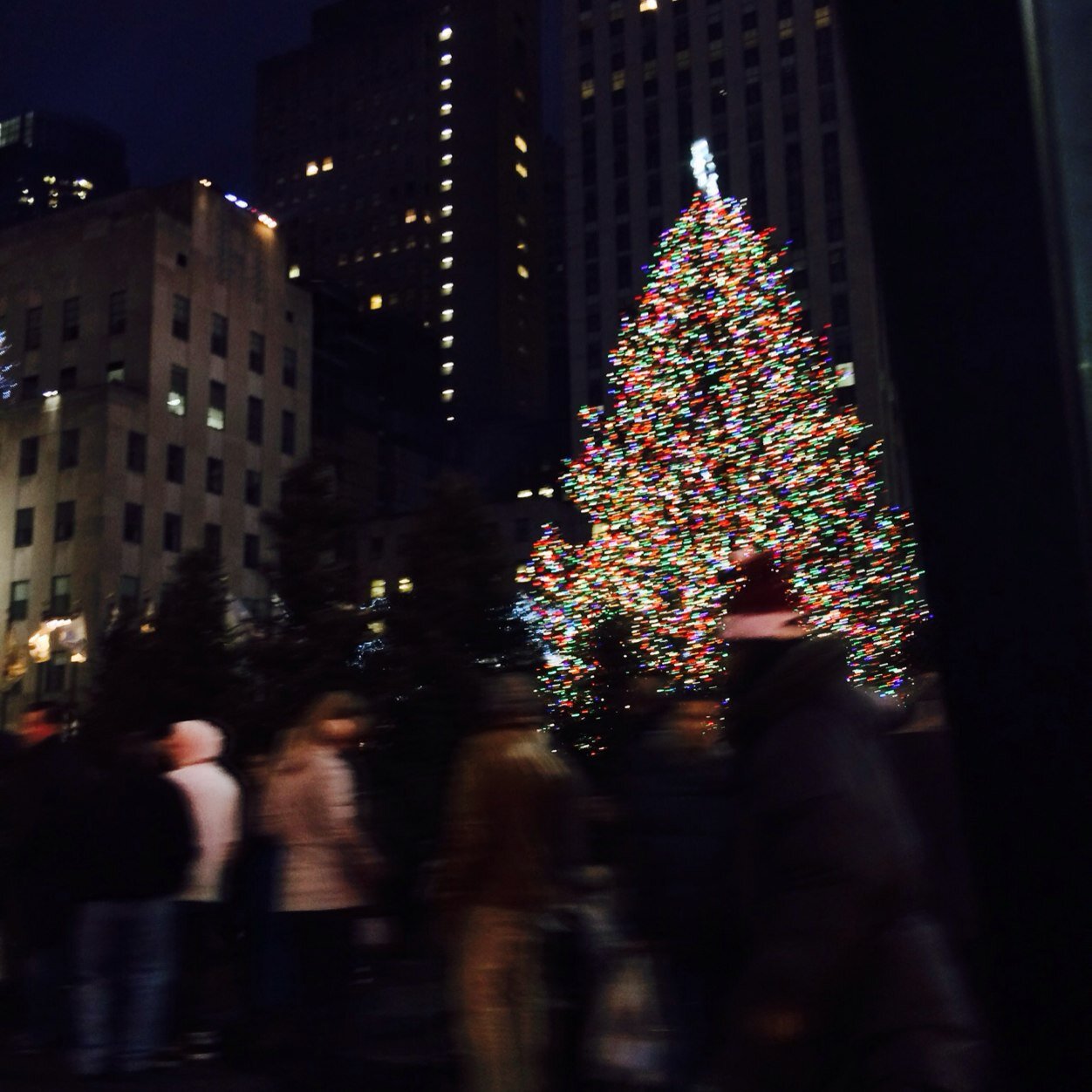 mikemannella's profile picture. 