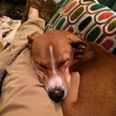 Pat Harding - @pathardibg85 - Twitter