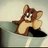 PedroBlanco69's profile image