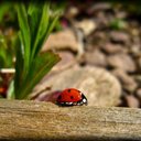 Lisa Lehane - @Shannon20Lisa - Twitter