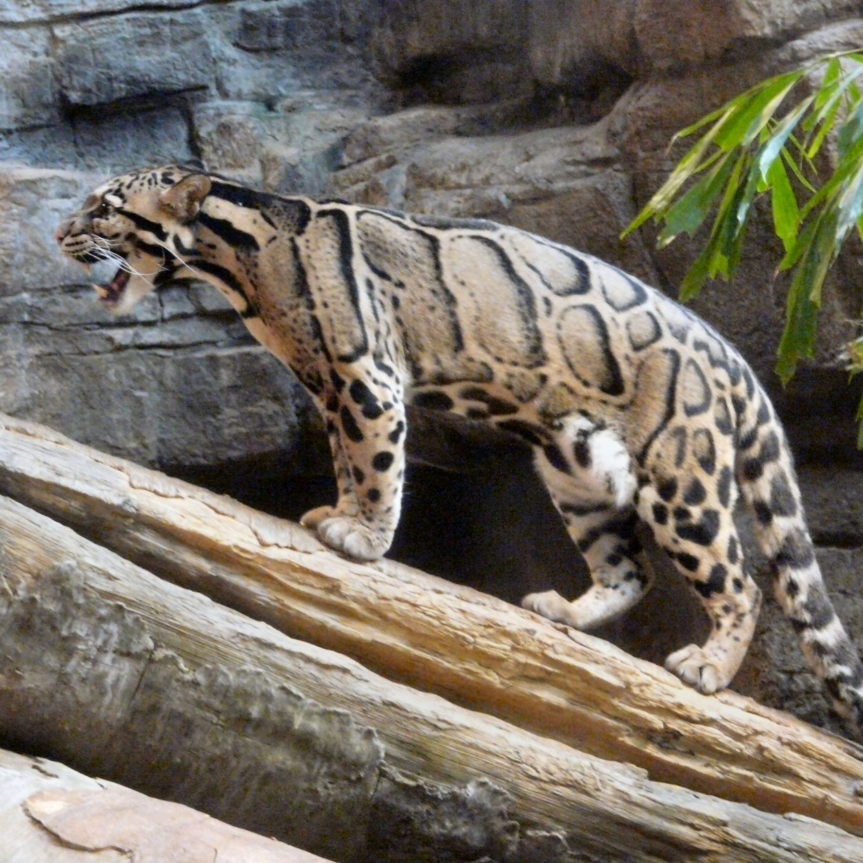 me00078's profile picture. 